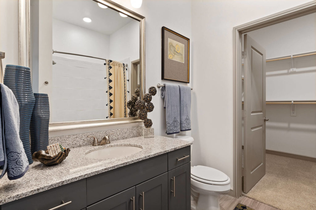 Bathroom with single sink, walk-in closet, and granite like counters