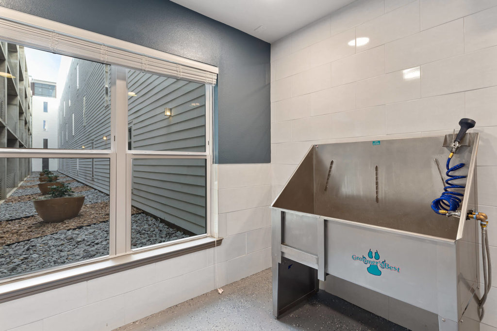 Dog wash station with large window